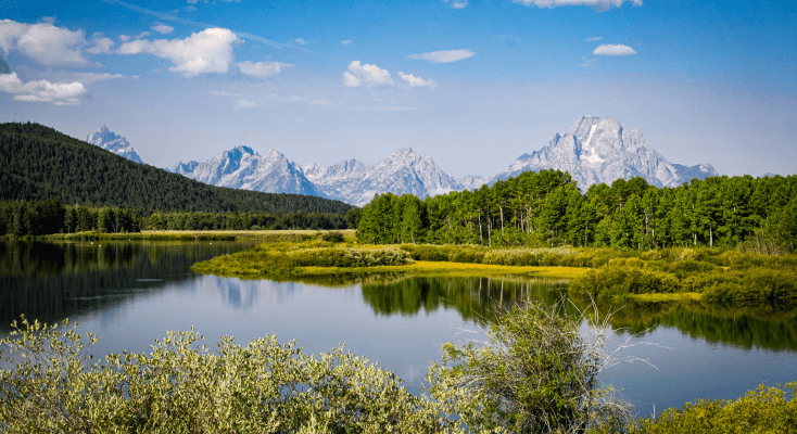 Medicare in Wyoming: How to Apply & More